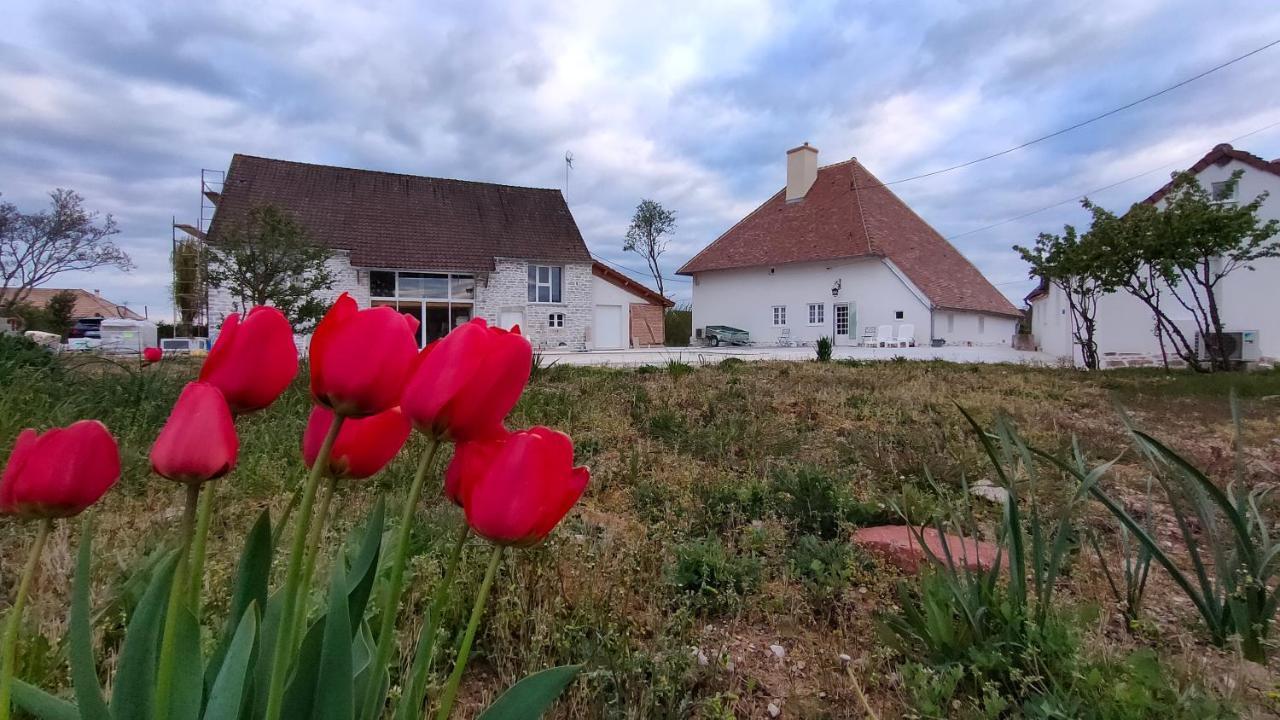 Ferienwohnung Domaine Ravy-Magnolia Saint-Symphorien-sur-Saone Exterior foto